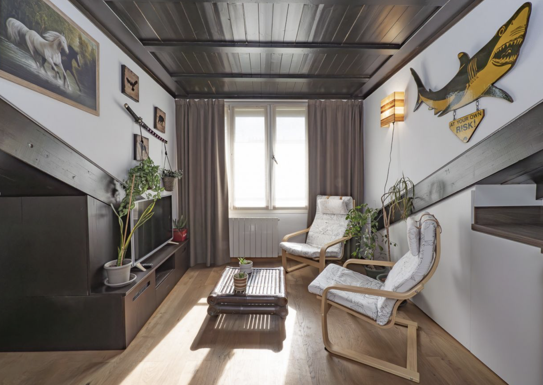 Soggiorno caratteristico con piante